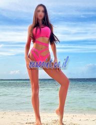 פלסטיק נמוכה