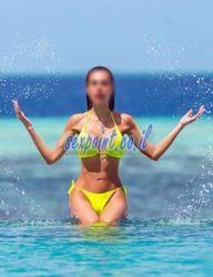 פלסטיק נמוכה